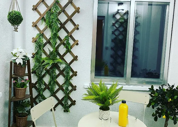 Enjoy -la Catedral *